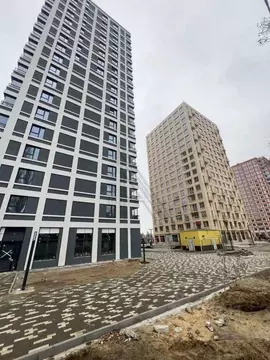 Торговая площадь в Воронежская область, Воронеж ул. Ломоносова, 116Ю ...