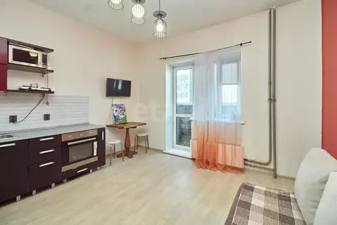 Студия Тюменская область, Тюмень ул. Верхнетарманская, 3 (23.8 м)