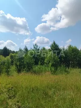 Участок в Тюменская область, Нижнетавдинский муниципальный округ, д. ...