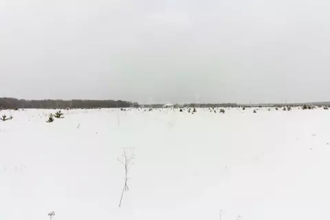 Участок в Тюменская область, Тюменский район, с. Кулига, Кулига-2 мкр  ...