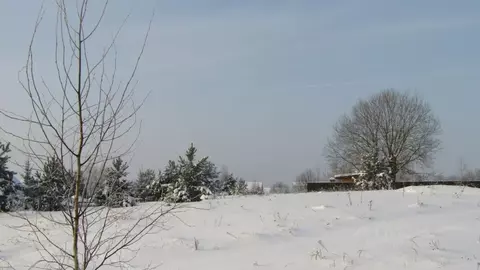 Участок в Московская область, Рузский муниципальный округ, д. ...