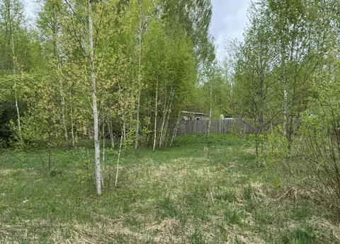 Участок в Московская область, Ступино городской округ, с. Старая Ситня ...