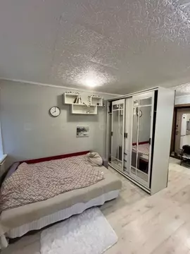 1-к кв. Татарстан, Казань Кирпичная ул., 1/31 (24.0 м)