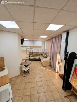 Квартира-студия: Санкт-Петербург, улица Савушкина, 127 (30.9 м)