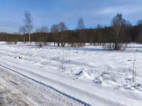 Участок в Новгородская область, Новгородский район, Трубичинское ...
