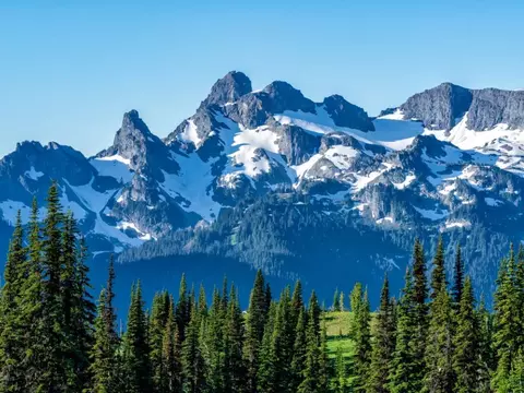 Участок в Алтай, Чемальский район, Элекмонарское с/пос, Седьмое Небо ...