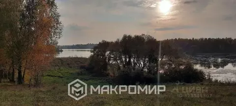 Участок в Брянская область, Брянский район, Добрунское с/пос, д. ...