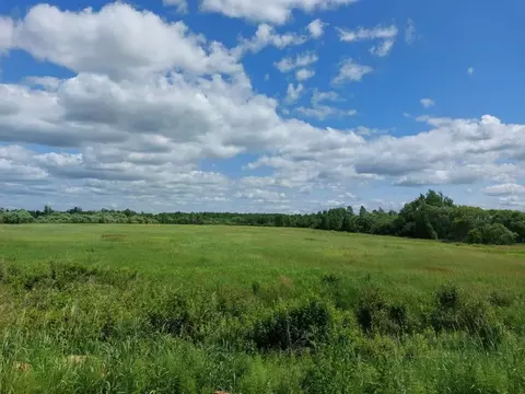 Участок в Хабаровский край, Хабаровский район, с. Мирное  (80.0 сот.)