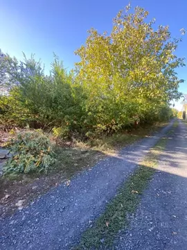 Участок в Ростовская область, Аксайский район, Щепкинское с/пос, ...