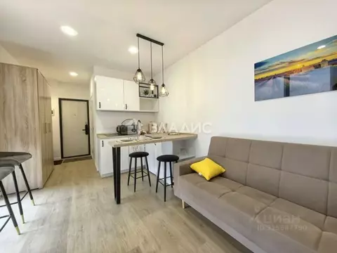 Студия Смоленская область, Смоленск проезд Маршала Конева, 32 (20.1 м)