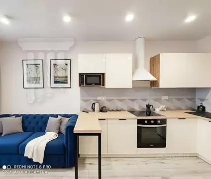 Студия Санкт-Петербург ул. Восстания, 53 (23.0 м)