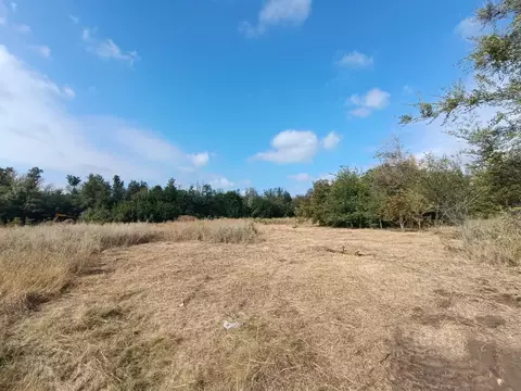 Участок в Ростовская область, Октябрьский район, Краснокутское с/пос, ...