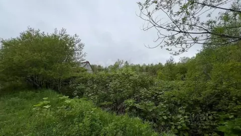 Участок в Сахалинская область, Анивский городской округ, с. Троицкое, ...