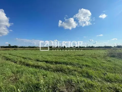 Участок в Костромская область, Костромской район, Самсоновское с/пос, ...