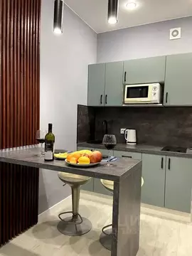 Студия Ленинградская область, Мурино Всеволожский район, бул. ...