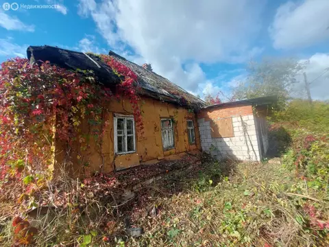 Дом в сельское поселение Протасовское, село Панковичи, 51 (28.9 м)