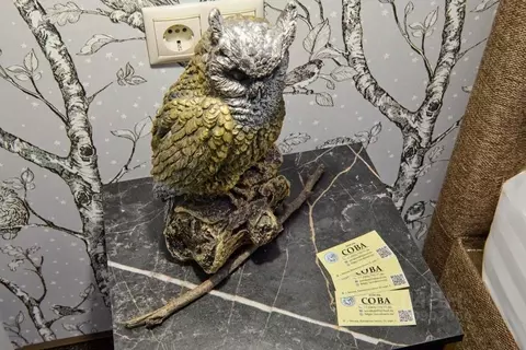 Комната Москва Каширское ш., 55К5 (10.0 м)