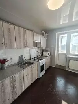 1-к кв. Ставропольский край, Михайловск Шпаковский район, ул. Гоголя, ...