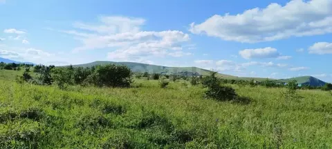 Участок в Алтайский край, Алтайский район, Айский сельсовет, ...