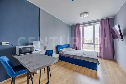 Студия Санкт-Петербург пос. Парголово, проезд Толубеевский, 8к2 (22.8 ...