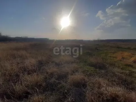 Участок в Белгородская область, Валуйский муниципальный округ, с. ...