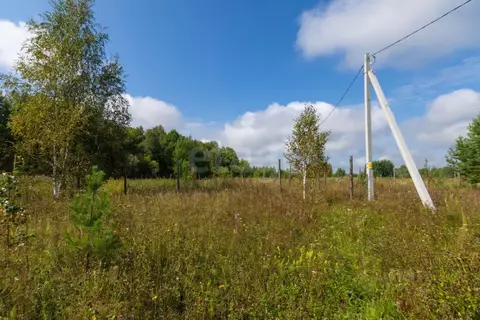 Участок в Тюменская область, Нижнетавдинский муниципальный округ, ...