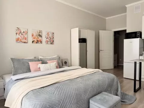 1-к кв. Санкт-Петербург пос. Шушары, ул. Нины Петровой, 6к5 (24.0 м)