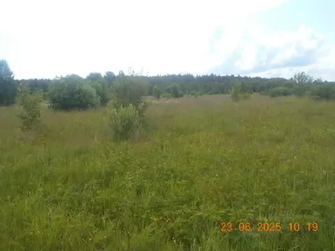 Участок в Московская область, Шаховская муниципальный округ, с. ...