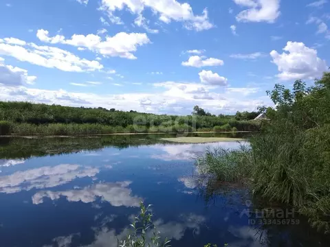 Участок в Белгородская область, Белгородский муниципальный округ, с. ...