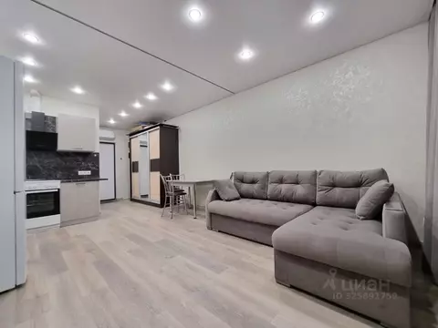 Студия Москва Газгольдерная ул., 10 (29.3 м)