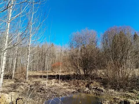 Участок в Вологодская область, д. Вотолино  (12.0 сот.)