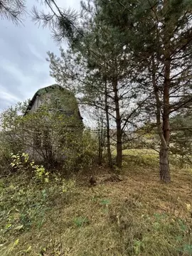 Участок в Калужская область, Дзержинский муниципальный округ, Льва ...