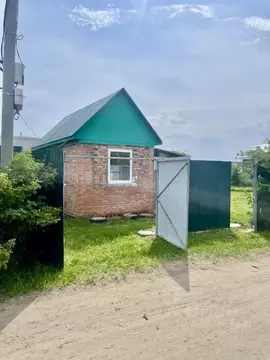 Дом в Омская область, Омск Бодрость-1 СНО, 452 (20 м)