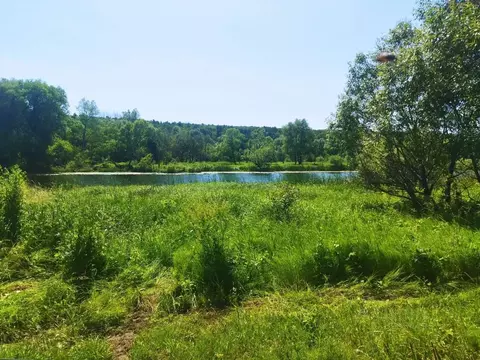 Участок в Тульская область, Ясногорский район, Тихая гавань кп  (20.0 ...