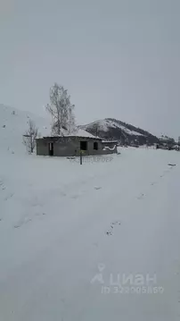 Участок в Алтайский край, Алтайский район, Айский сельсовет, с. Ая ул. ...