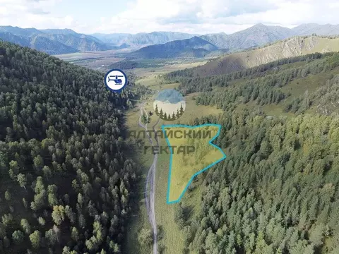 Участок в Алтай, Чемальский район, с. Чемал ул. Кирпичная (126.29 ...
