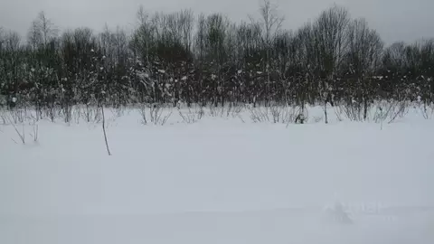 Участок в Московская область, Рузский муниципальный округ, д. ...