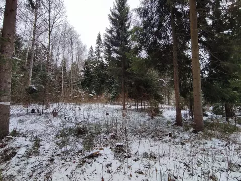Участок в Московская область, Одинцовский городской округ, пос. НИИ ...