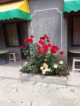 Комната Крым, Симферопольский район, Николаевка пгт ул. Прибрежная, 9