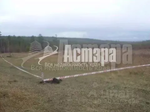 Участок в Забайкальский край, Читинский район, с. Смоленка  (15.0 ...