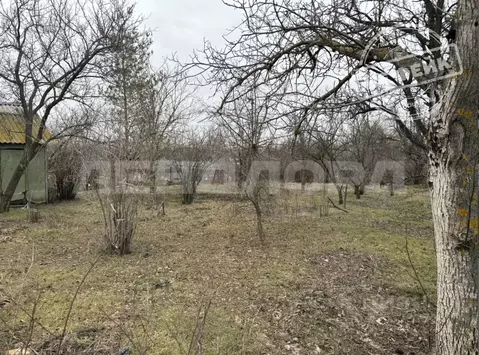 Участок в Ростовская область, Новочеркасск № 12 садовое товарищество, ...