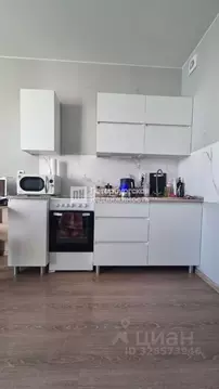 Студия Ленинградская область, Всеволожский район, пос. Бугры ул. ...