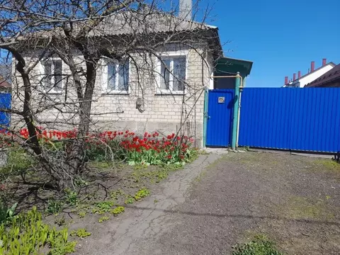 Дом в Воронежская область, Анна пгт ул. Красноармейская, 107 (58 м)
