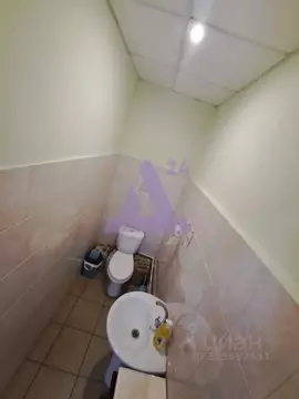 Торговая площадь в Алтайский край, Рубцовск Комсомольская ул., 149Г ...