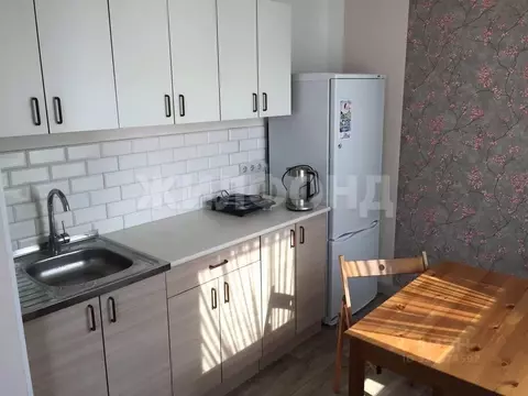 Студия Новосибирская область, Новосибирск ул. Дунаевского, 14 (27.0 м)