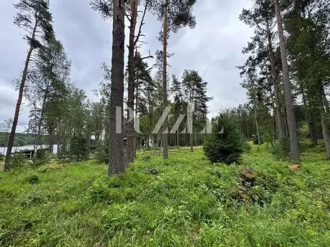 Участок в Ленинградская область, Приозерский район, Громовское с/пос, ...