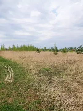 Участок в Нижегородская область, Нижний Новгород д. Слопинец,  (16.6 ...