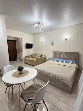Студия Тюменская область, Тюмень ул. Тимофея Чаркова, 81к2 (28.9 м)