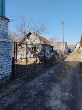 Дом в Брянская область, Брянск Дружба садовое общество, 2 (16 м)