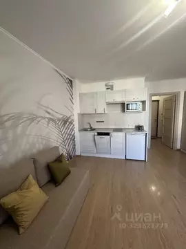 Студия Санкт-Петербург просп. Энергетиков, 11к2 (32.0 м)